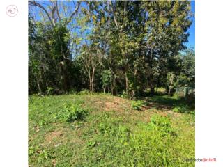 TeRRENO EN VENTA HATO ARRIBA SAN SEBA...