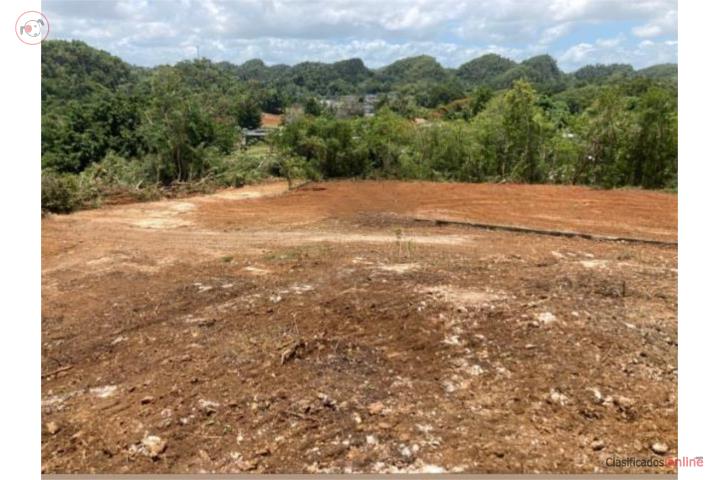 Farm in Camuy Arriba, Camuy