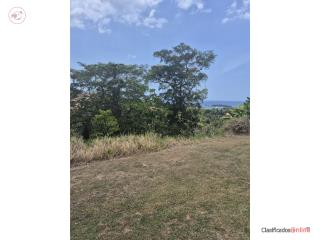 Solar, Camuy