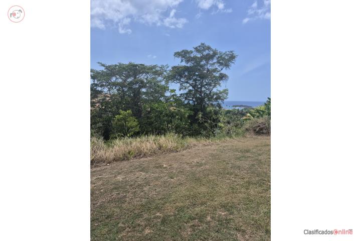 Lot in Membrillo, Camuy