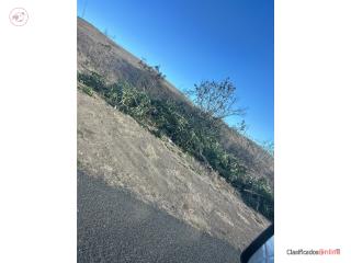 Finca Salinas