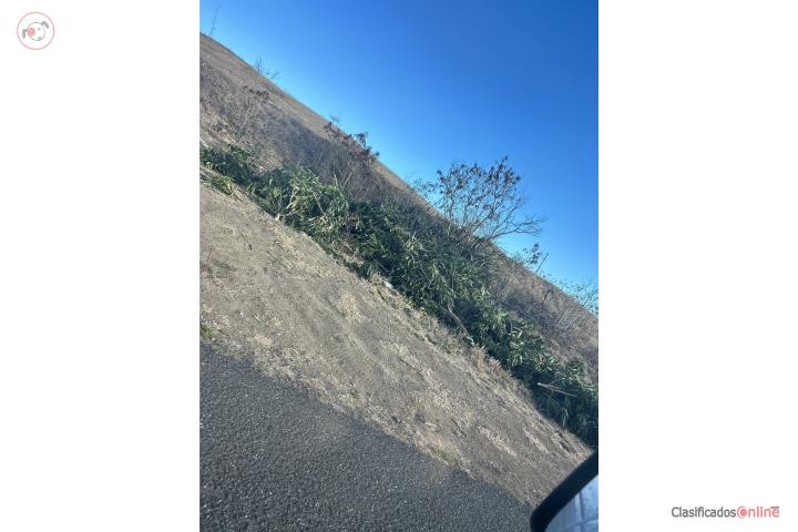 Farm in Aguirre, Salinas