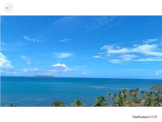 ISlETA MARINA un mundo aparte