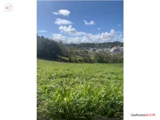 Venta de Solar Barrio Aguacate Yabuco...