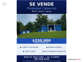 Barrio Turabo Caguas