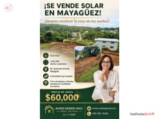 Solar 1042.099m 2 Bo. Qda. Grande May...