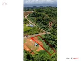 Terreno de 1,750m2 en Canovanas con V...