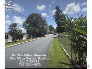 Bo. Cuchillas, Morovis 2.24 cuerdas