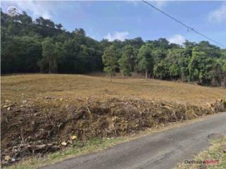 3 cdas Rio Grande/inversión/venta por...