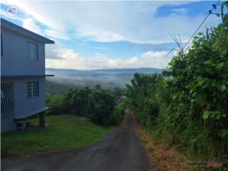 Barrio ceiba sur