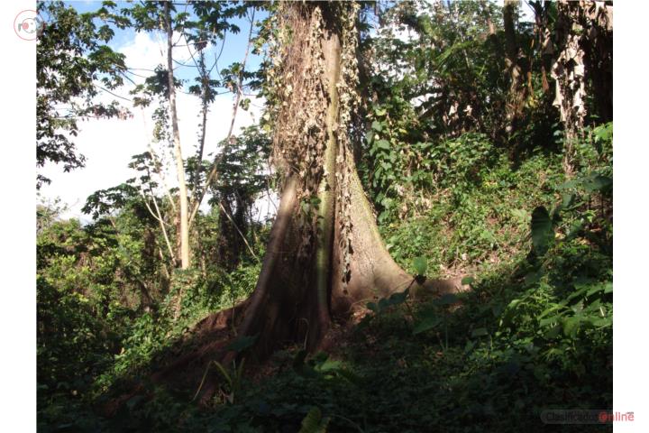 Finca en venta en Carretera 105 Mayaguez