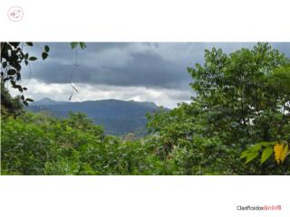 BARRIO CEDROS, FINCA CON VISTA AL YUN...