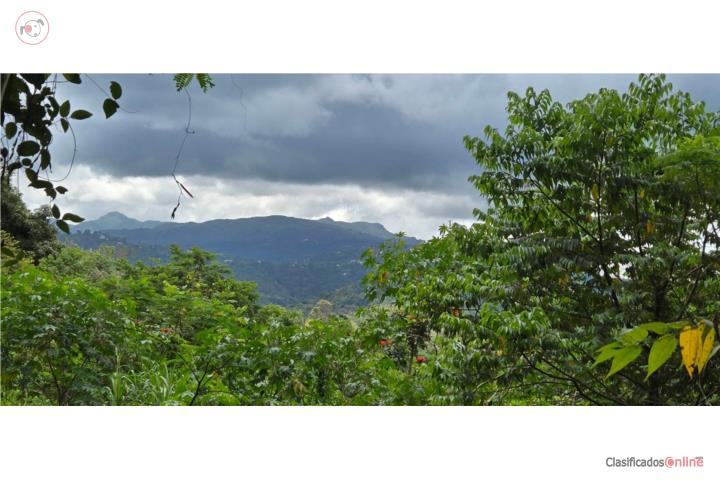 BARRIO CEDROS, FINCA CON VISTA AL YUNQUE