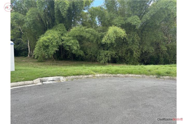 Lot in Florida, San Lorenzo