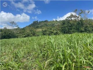 Finca 11 cuerdas, $312 K reducido