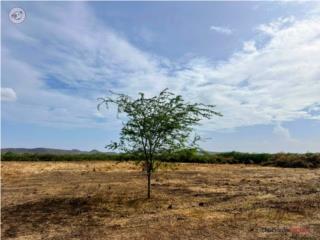 Finca Bo LaPlata 4.6Cuerdas, toma irr...