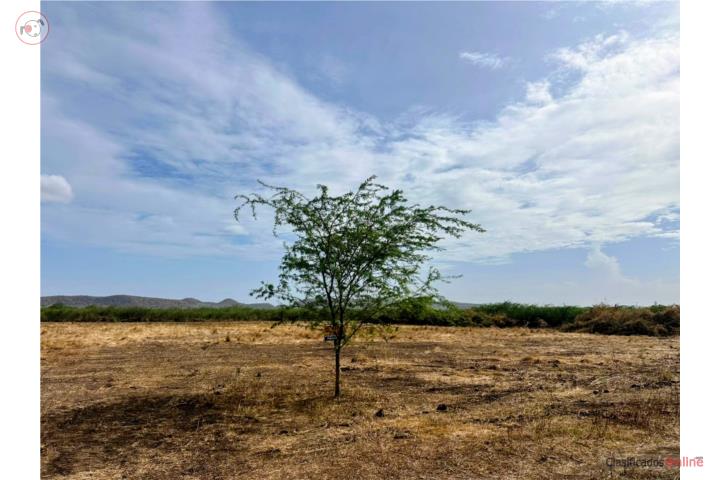 Farm in Rayo Plata, Lajas