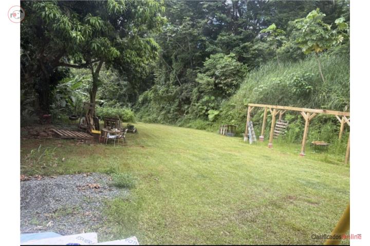 terreno de cuerda y media Bo Limon Mayagüez