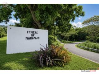 Fincas de Naranjo 6 Cuerdas-Calificac...