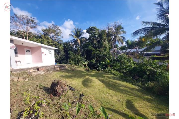 120K OMO 2cuartos|1 Baño Canovanas, Las 400