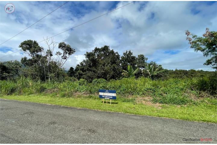 Farm in Rio Abajo, Ceiba