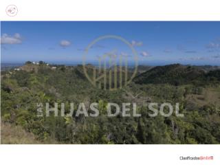74 cuerdas en Orocovis | $600K