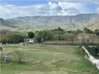 2 solares, Barrio Cuyón