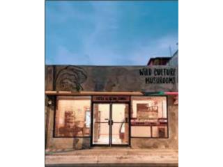 Galeria