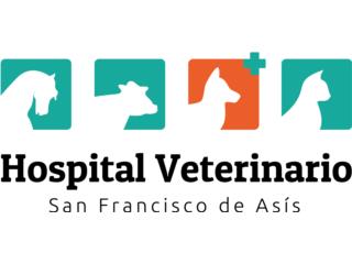 Técnico Veterinario