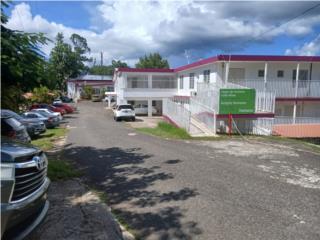 Galeria