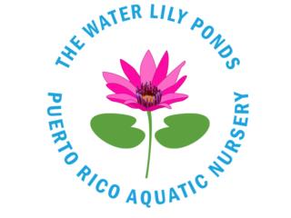 Clasificados Online Puerto Rico