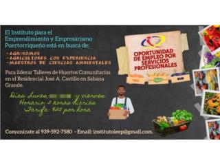 Lider Tallerista Huertos Comunitario