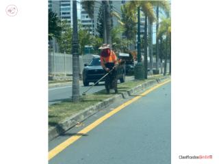 TECNICO DE AREAS VERDES (BAYAMON)