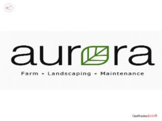 CREW LEADER - MANTENIMIENTO DE AREAS VERDES