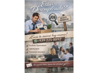 Representates de Servio-Area sur