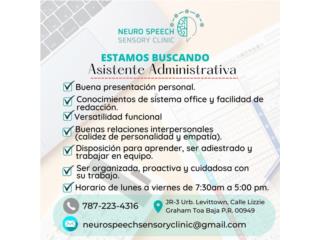 Asistente Administrativa