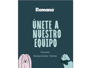 ¡Buscamos Groomer!