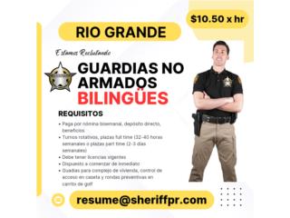 GUARDIA DE SEGURIDAD NO ARMADO BILINGÜE