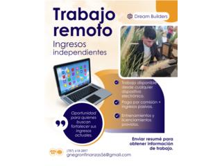 Oportunidad de trabajo remoto a tiempo parcial.