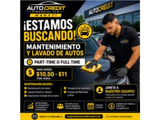 Lavado de Autos para Dealer
