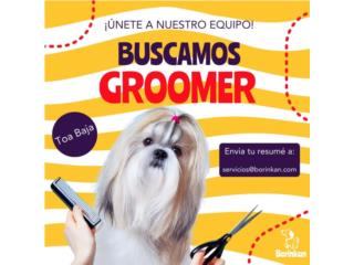 Groomer