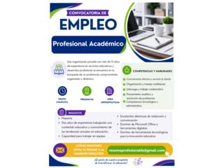 PROFESIONAL ACADEMICO