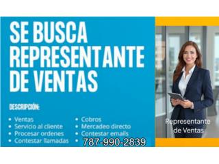 Representante de Ventas