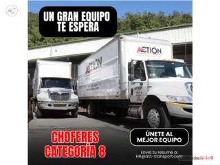 CHOFER CATEGORIA 8 - CAMION DE CAJA
