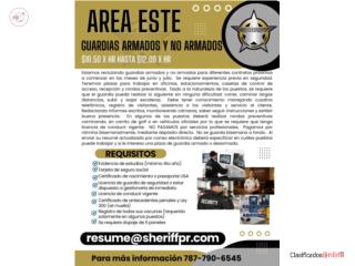 GUARDIAS DE SEGURIDAD ARMADOS