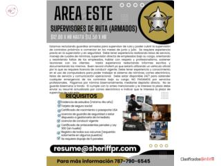 GUARDIA ARMADO SUPERVISOR DE RUTA
