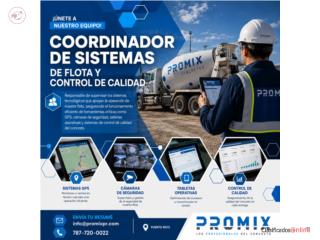 COORDINADOR DE SISTEMAS