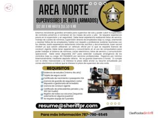 GUARDIA DE SEGURIDAD ARMADO SUPERVISOR RUTA