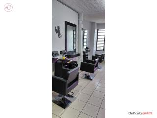 Galeria