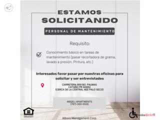 Mantenimiento en Cata�o